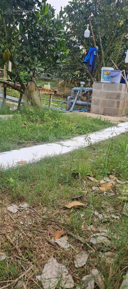 Cần bán gấp vườn + nhà villa đẹp chỉ cần thanh toán trước 50% nhận nhà ngay