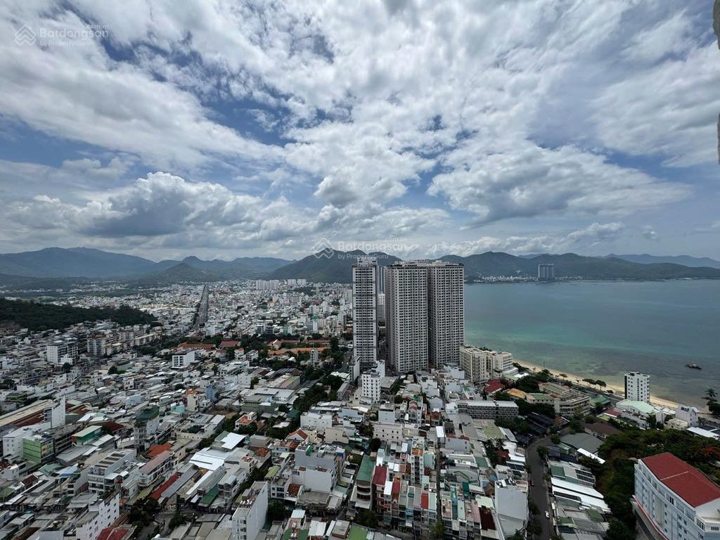 Bán 2 chung cư napoleon dòng tiền 15tr/tháng