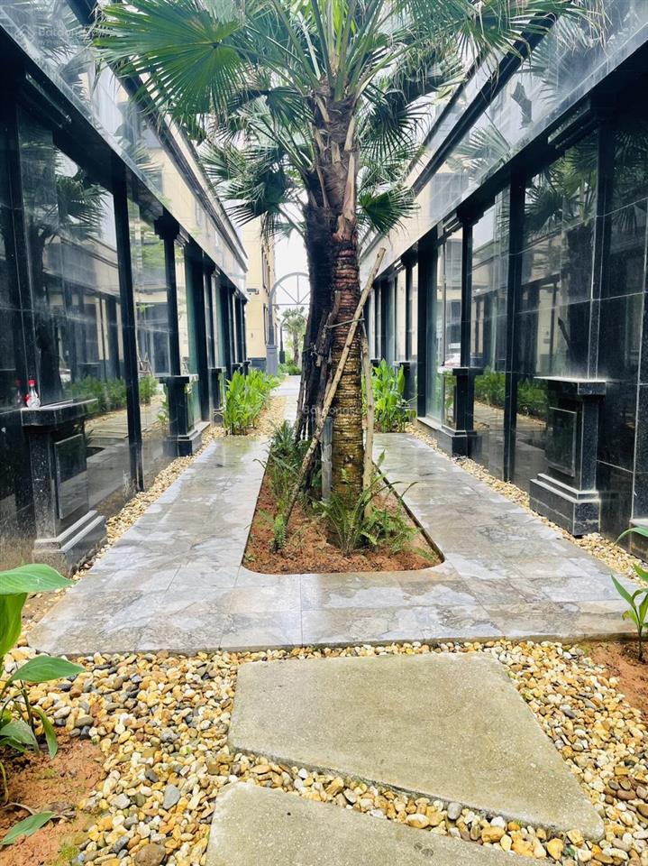 Chỉ 4x tỷ có căn shophouse apec diamond park lạng sơn trung tâm kinh doanh