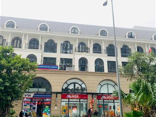 Cho thuê 2 cặp shophouse hải đăng 09 320m2, mt 11m, đối diện cc zenpark, thích hợp làm ngân hàng