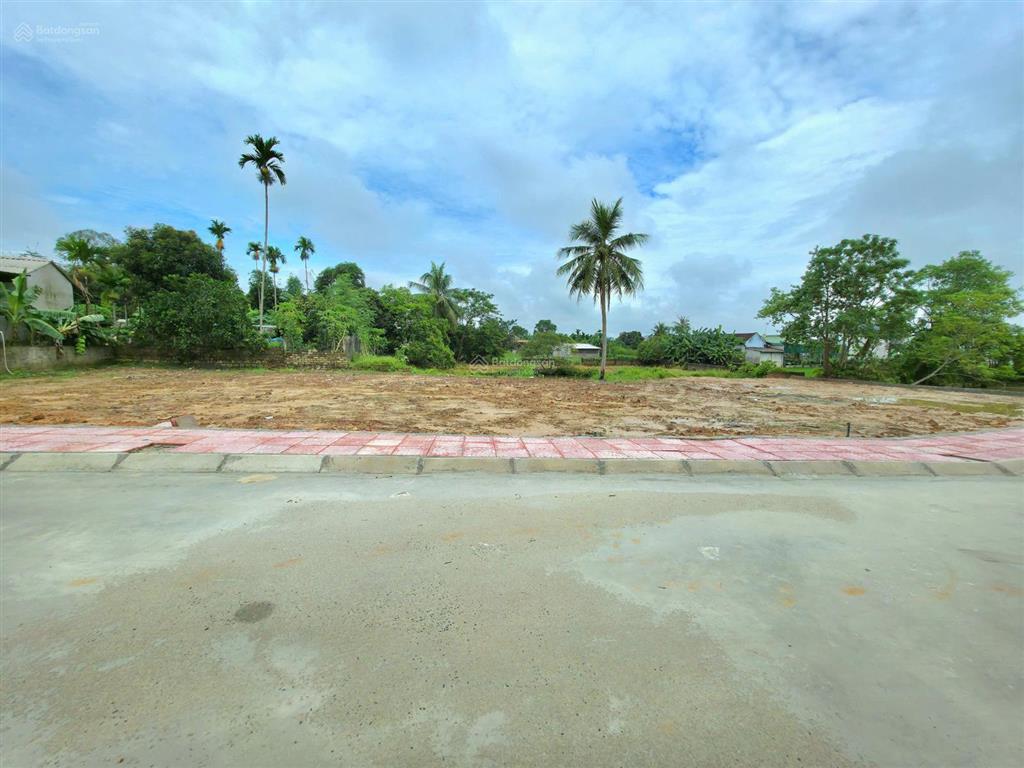 215m2 full thổ, đường trục chính 3 ô tô tránh nhau tại triệu sơn, giá hơn ba trăm