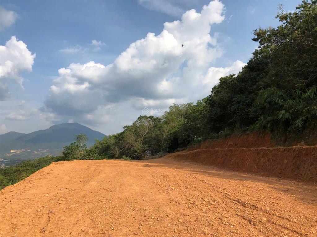 Cắt lỗ 2ha hà lâm đạ huoai, cách ql20 450m, đất trồng sầu riêng, làm farmstay, chỉ 3,2 tỷ
