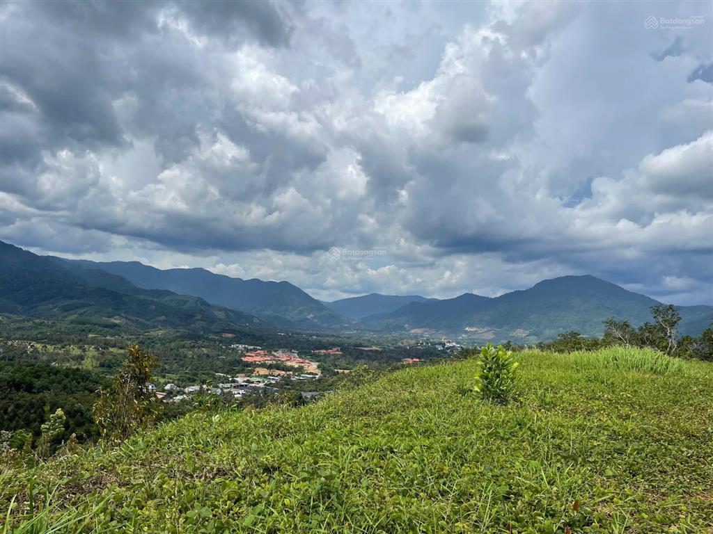 Cắt lỗ 2ha hà lâm đạ huoai, cách ql20 450m, đất trồng sầu riêng, làm farmstay, chỉ 3,2 tỷ