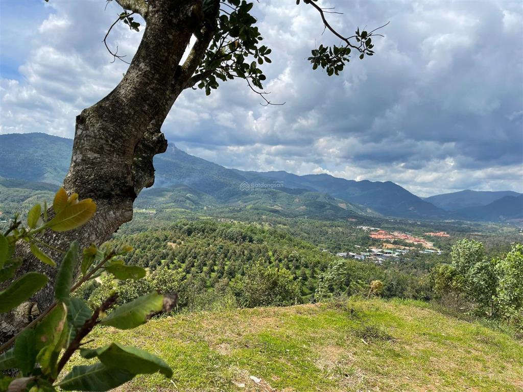 Cắt lỗ 2ha hà lâm đạ huoai, cách ql20 450m, đất trồng sầu riêng, làm farmstay, chỉ 3,2 tỷ
