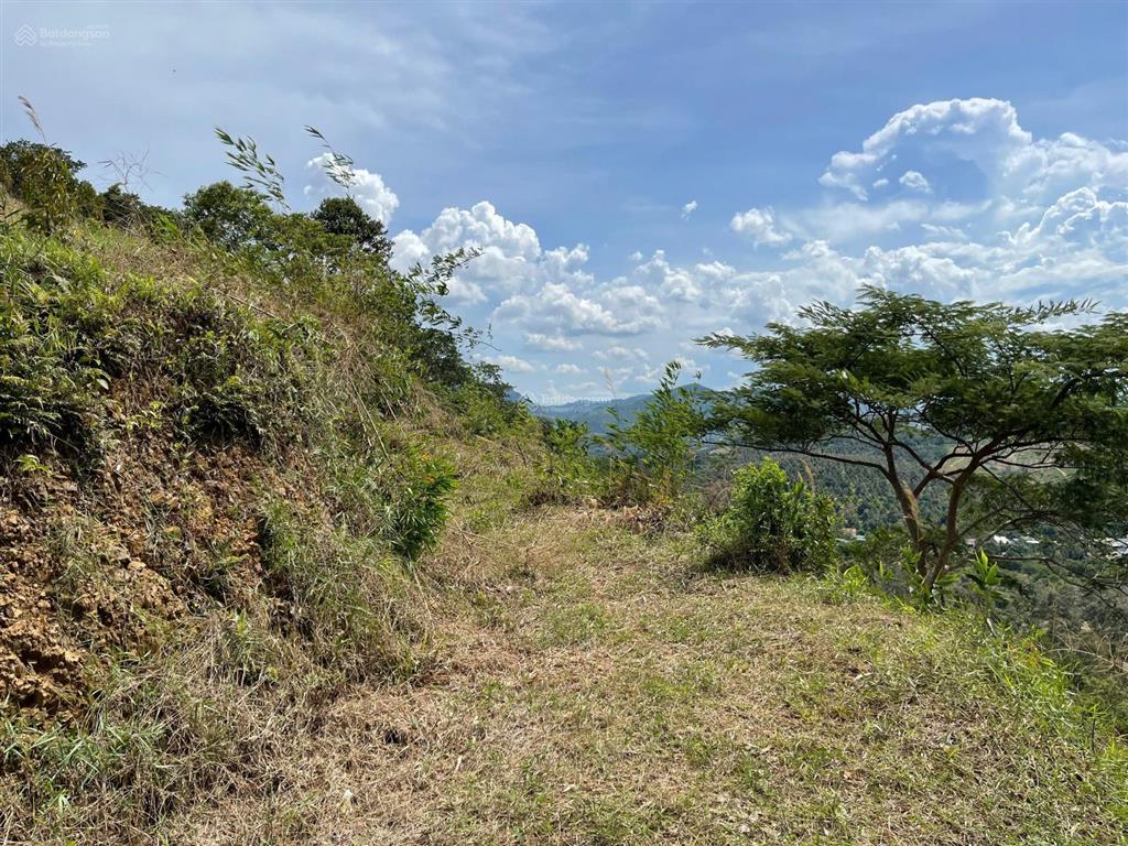 Cắt lỗ 2ha hà lâm đạ huoai, cách ql20 450m, đất trồng sầu riêng, làm farmstay, chỉ 3,2 tỷ