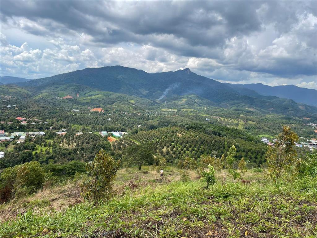 Cắt lỗ 2ha hà lâm đạ huoai, cách ql20 450m, đất trồng sầu riêng, làm farmstay, chỉ 3,2 tỷ