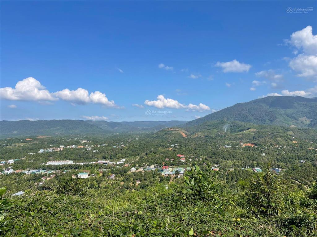 Cắt lỗ 2ha hà lâm đạ huoai, cách ql20 450m, đất trồng sầu riêng, làm farmstay, chỉ 3,2 tỷ