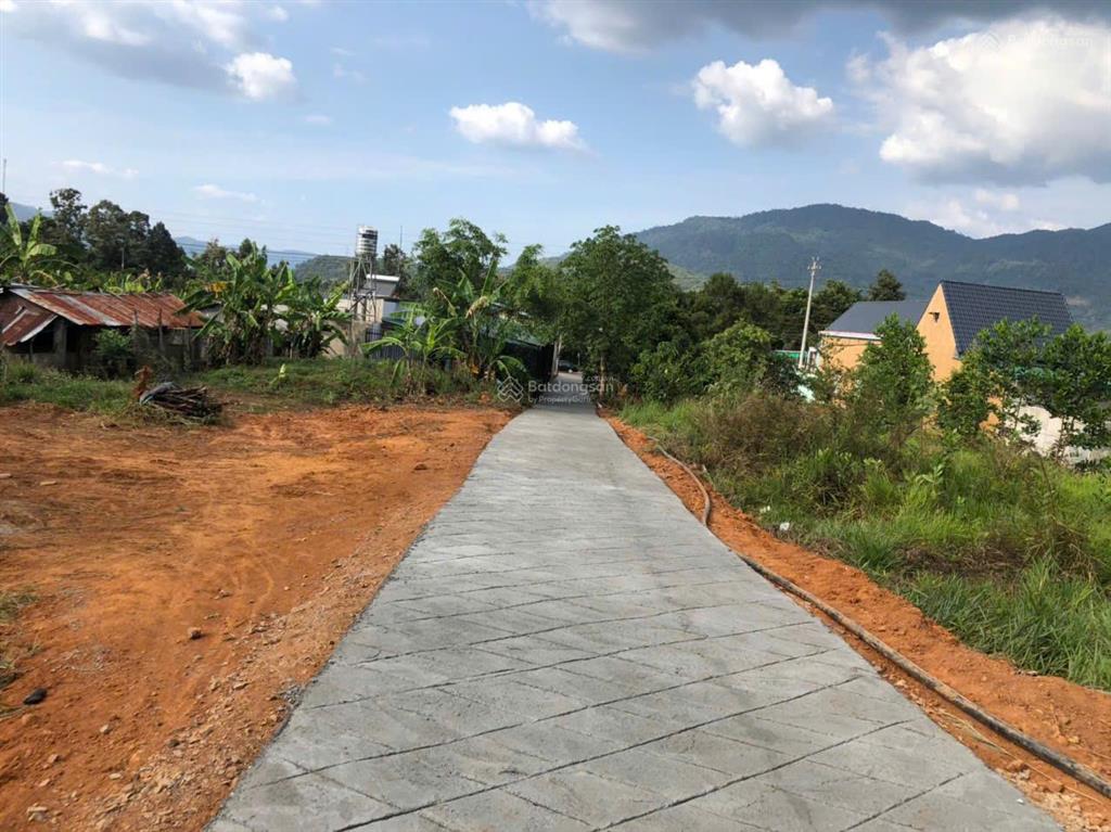 Cắt lỗ 2ha hà lâm đạ huoai, cách ql20 450m, đất trồng sầu riêng, làm farmstay, chỉ 3,2 tỷ