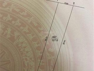 Cơ hội hiếm 127m² gần đường 87 mở rộng 40m khu dân cư đông đúc