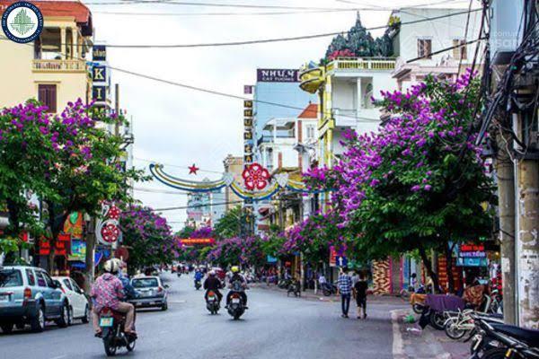 Bán 300m2 nhà đất mặt phố chính trung tâm hải phòng