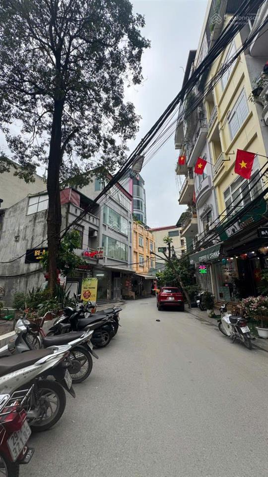 Cực đẹp! bán đất quan hoa, cầu giấy dt 52m2 cách phố 15m, ngõ thông, xây tòa đỉnh giá chỉ 10,4 tỷ