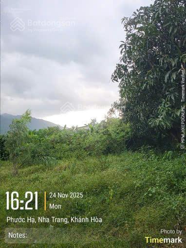 Cần bán lô 271.7m2 full thổ cư ngang 11m thái khang phước hạ,  0901 282 ***