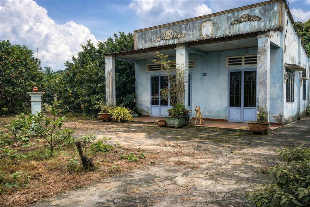 Nhà vườn ven sông đồng nai 5000m2 giáp sài gòn, có sẵn vườn trái cây, ao cá, bờ kè ven sông kiên cố