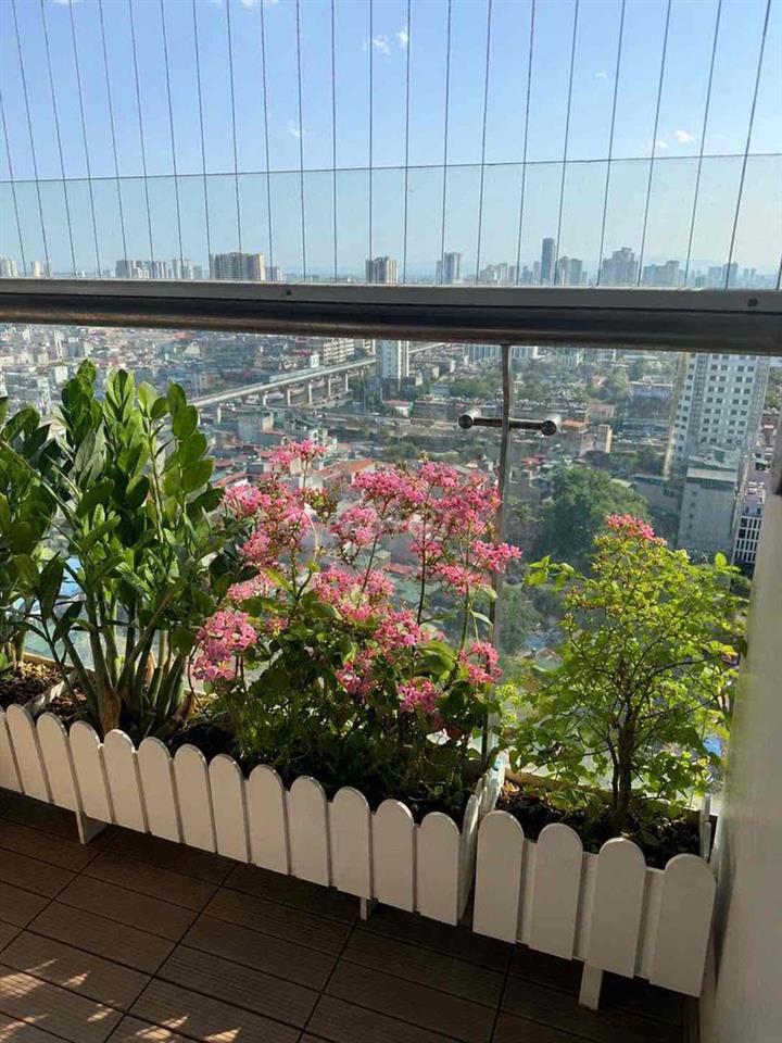 Chính chủ cần bán căn gấp hộ 3 ngủ chung cư 47 nguyễn tuân