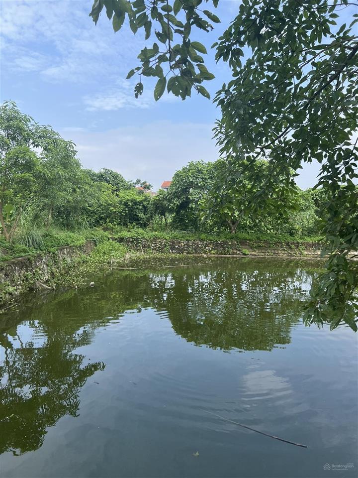 Đất hai mặt đường, góc ngã tư, ô tô tránh. diện tích 1000m2