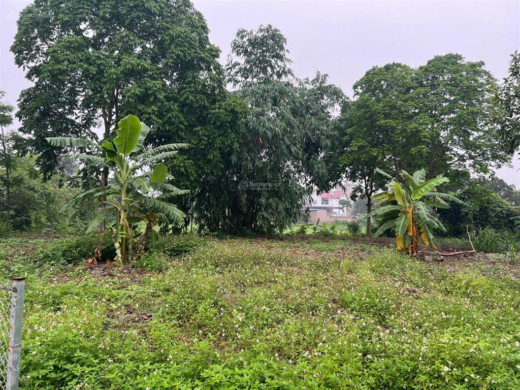 Đất hai mặt đường, góc ngã tư, ô tô tránh. diện tích 1000m2