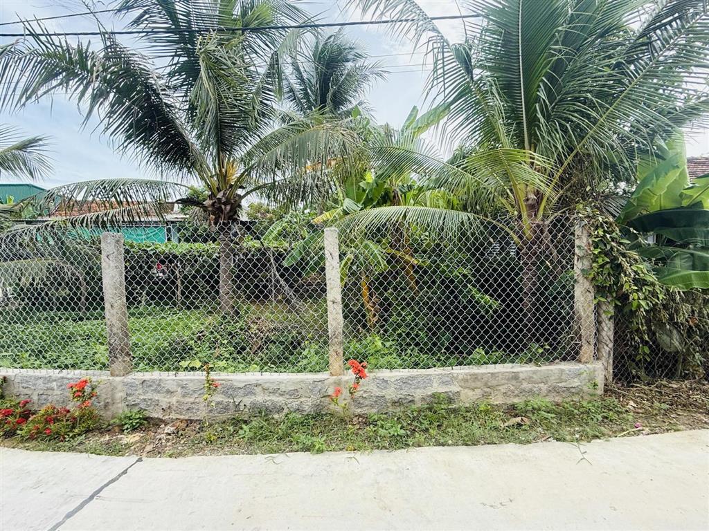 Bán đất thạch thành ninh quang cũ nay xã tân định ninh hoà