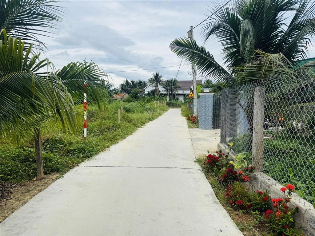 Bán đất thạch thành ninh quang cũ nay xã tân định ninh hoà
