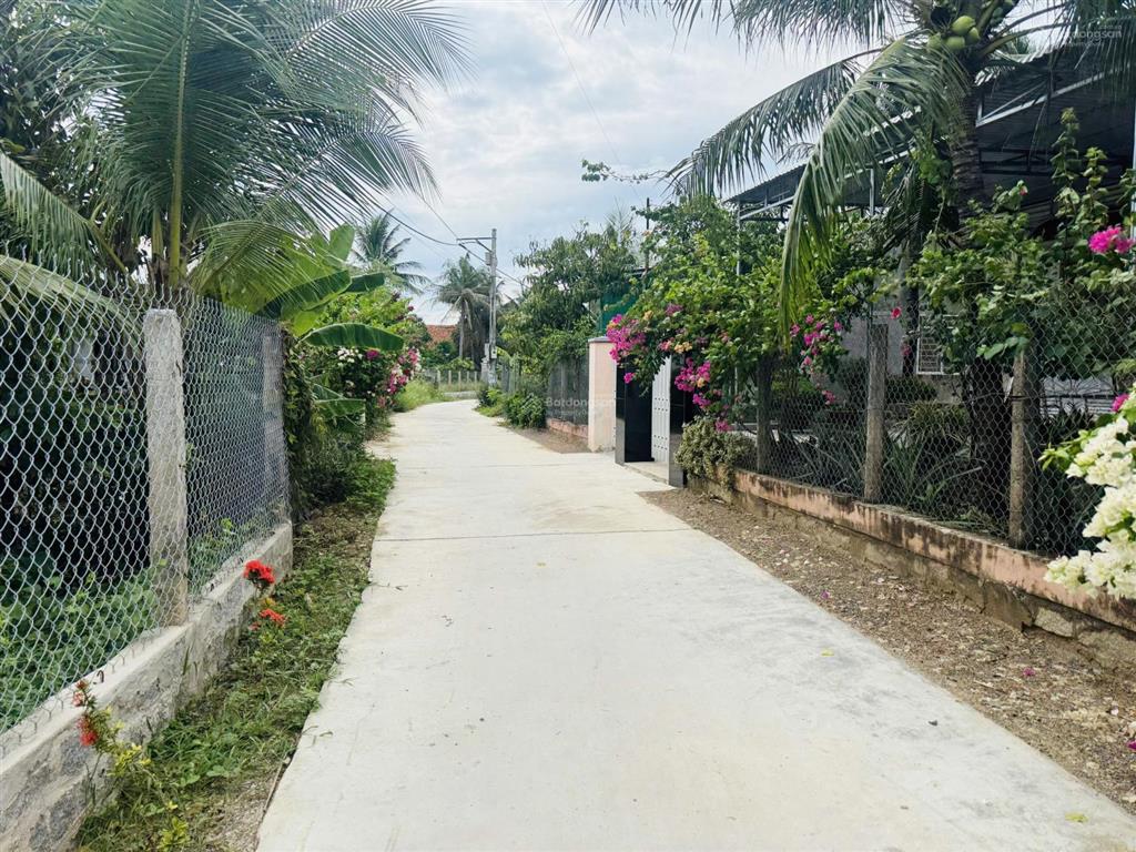 Bán đất thạch thành ninh quang cũ nay xã tân định ninh hoà