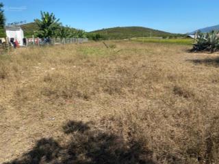 Bán đất tân mỹ ninh xuân ninh hoà đối diện kcn becamex giá 550 triệu