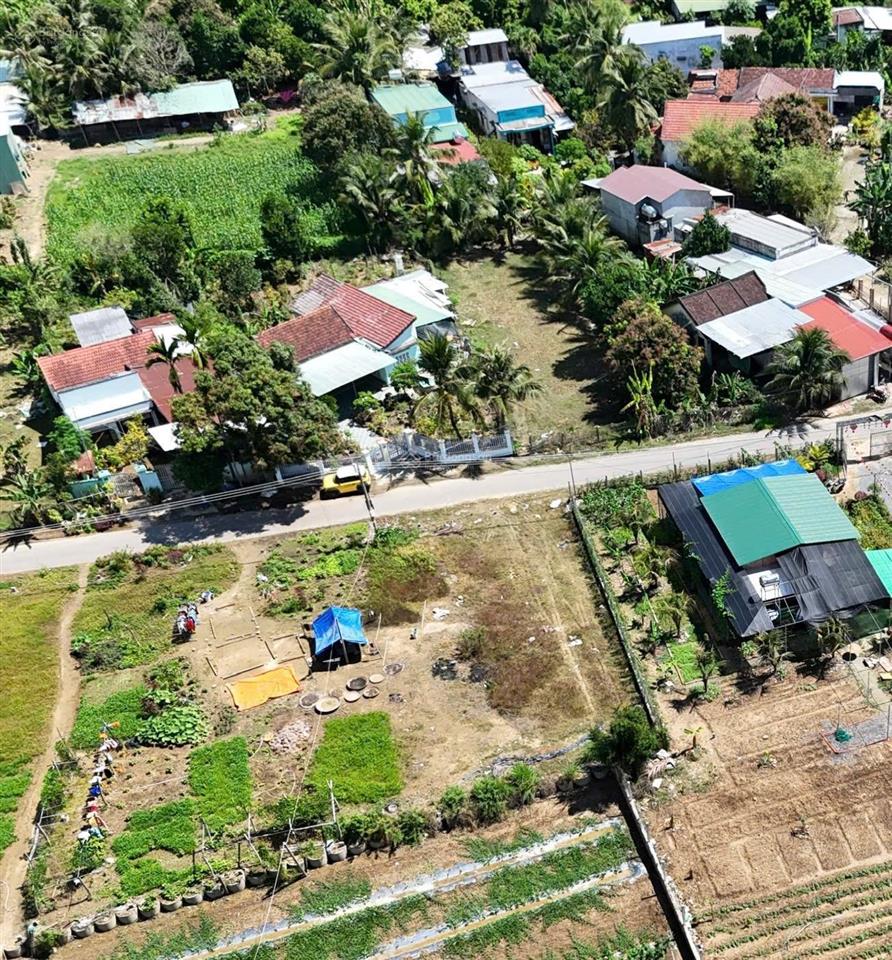 Mở bán lô đường nhựa tư văn, diên phước ,diên khánh giá 1,1 tỷ