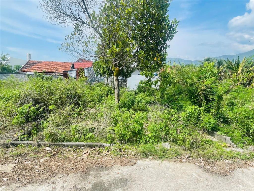 Bán đất thổ cư suối tiên diên khánh giá chỉ 550 triệu