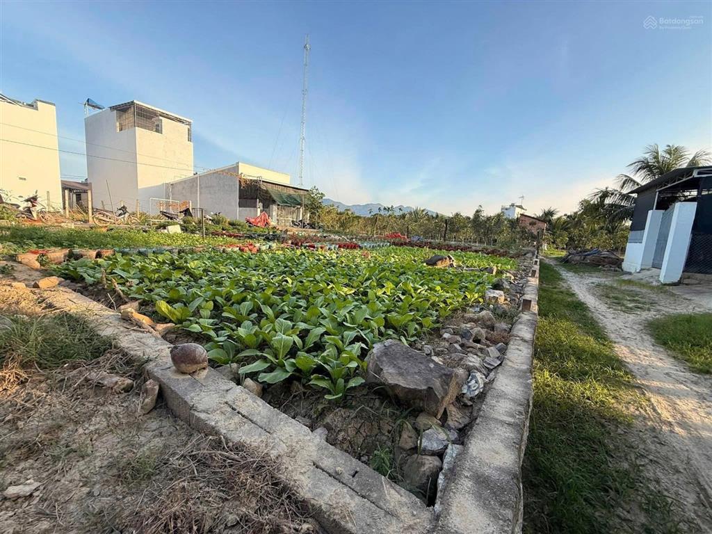 Bán đất trung tâm diên khánh (thị trấn diên khánh cũ) gần chợ gò đình