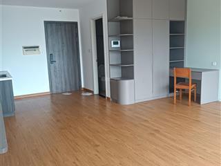 Căn hộ cao cấp giá rẻ phú mỹ hưng, chung cư riêng biệt full nội thất