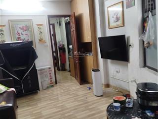 Gà đẻ trứng vàng  chdv hà đông  doanh thu 35tr/tháng