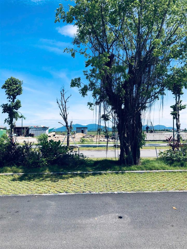 Chính chủ cần bán căn liền kề mặt đường âu cơ 34m  dự án eco central park vinh.