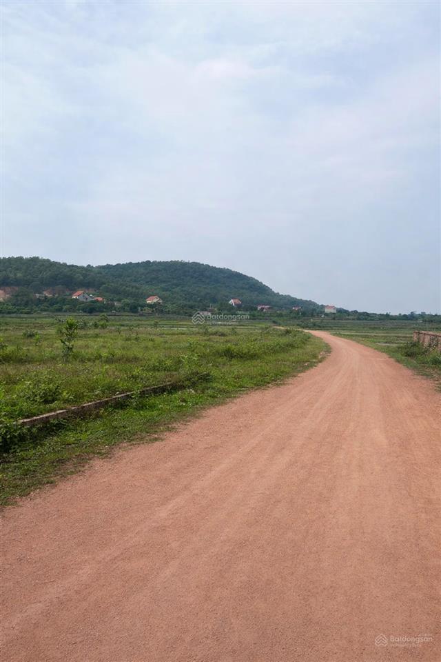 Chính chủ cần bán lô đất diện tích lớn tại bắc an, chí linh, hải dương (cũ)  giá chỉ 9,5 triệu/m2