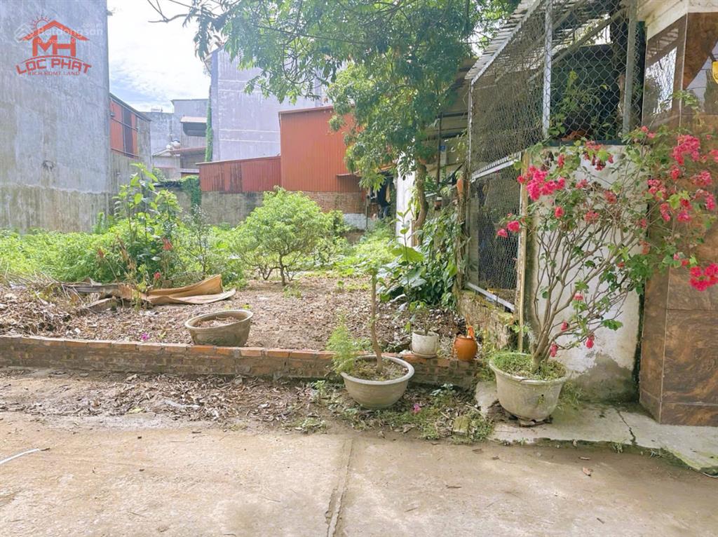 Bán nhanh lô đất 70.6 m2, sát mặt quốc lộ 17, song quỳnh, gia bình, bắc ninh