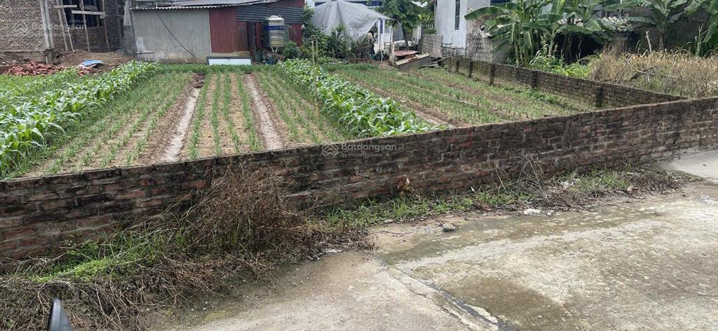 Chính chủ cần bán lô đất đẹp tại nhất trai  trung chính  bắc ninh