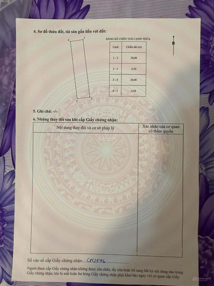 Bán đất đẹp đường trần nhân tông, trung tâm xã gia bình, tỉnh bắc ninh 0986 287 ***