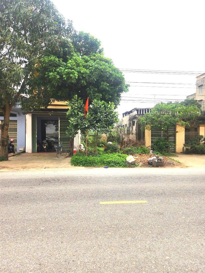 Bán đất mặt trục quốc lộ 17 xã gia bình tỉnh bắc ninh  đón sóng sân bay quốc tế gia bình