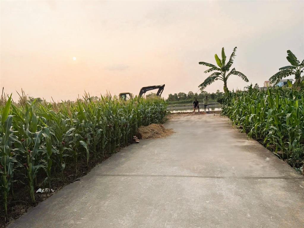 Hiếm có lô hơn 93m2 tại vĩnh trai  trung chính  bắc ninh