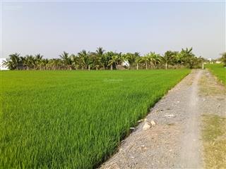 Chủ cần bán 5 lô đất f0, dt mỗi lô 1030m2 có 300m2 thổ cư (15 x 69) giá 2,5 tỷ/ lô