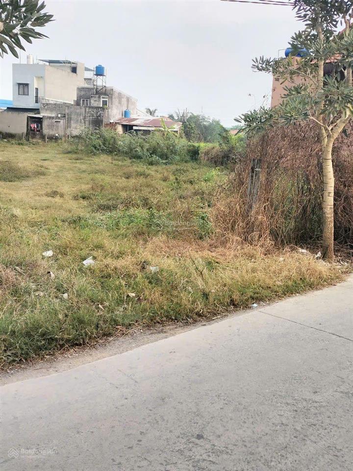 Bán 1600m2 đất mặt tiền đường ấp 4 mỹ yên bến lức giáp ranh bình chánh, đường xe tải, thông ql 1a
