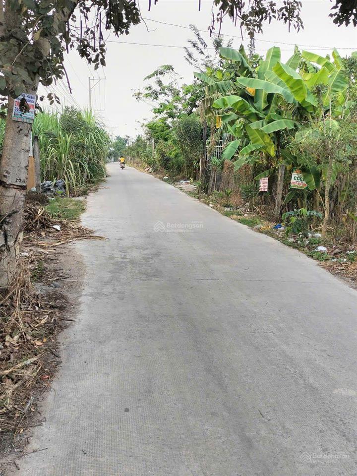 Bán 1600m2 đất mặt tiền đường ấp 4 mỹ yên bến lức giáp ranh bình chánh, đường xe tải, thông ql 1a