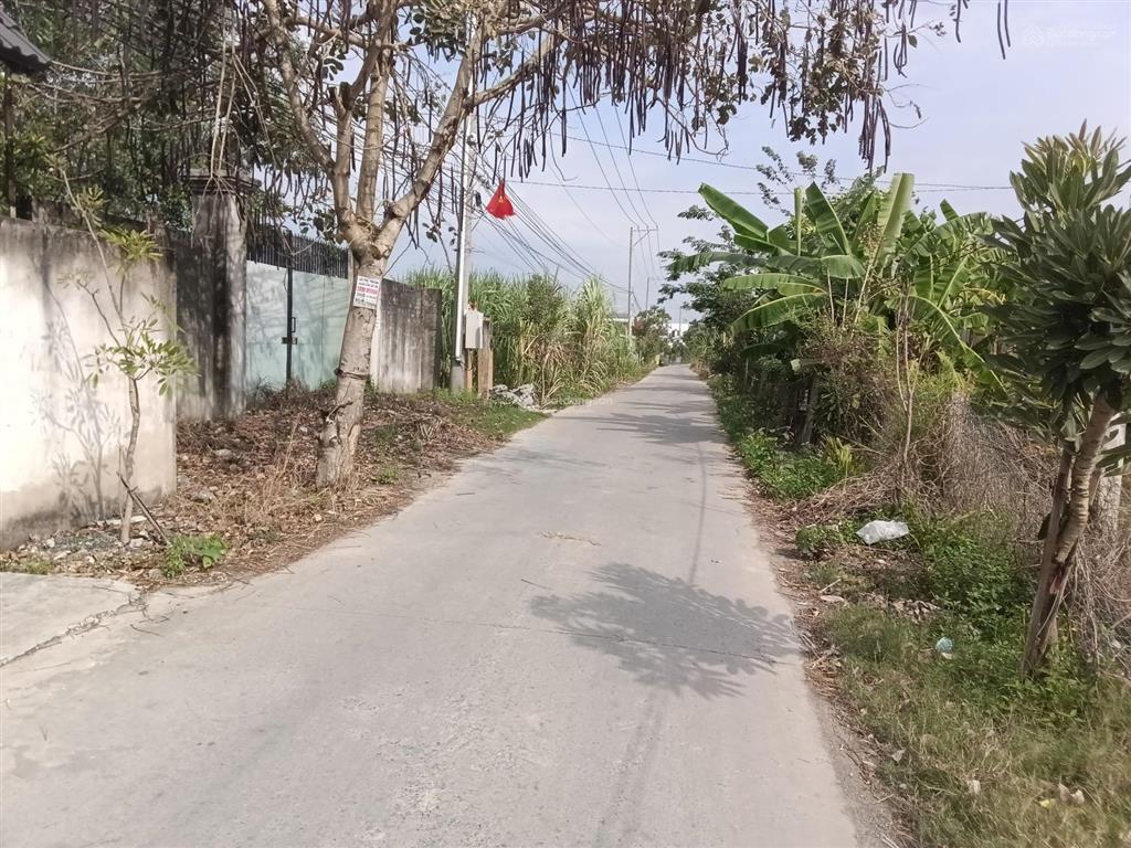 Bán 1600m2 đất mặt tiền đường ấp 4 mỹ yên bến lức giáp ranh bình chánh, đường xe tải, thông ql 1a