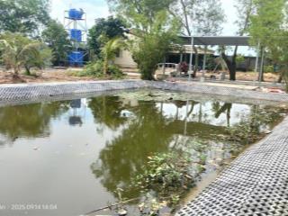 Chủ bán nhà vườn + đất làm xưởng , dt 2670m2 có 850m2 thổ cư, thuộc mỹ yên bến lức long an