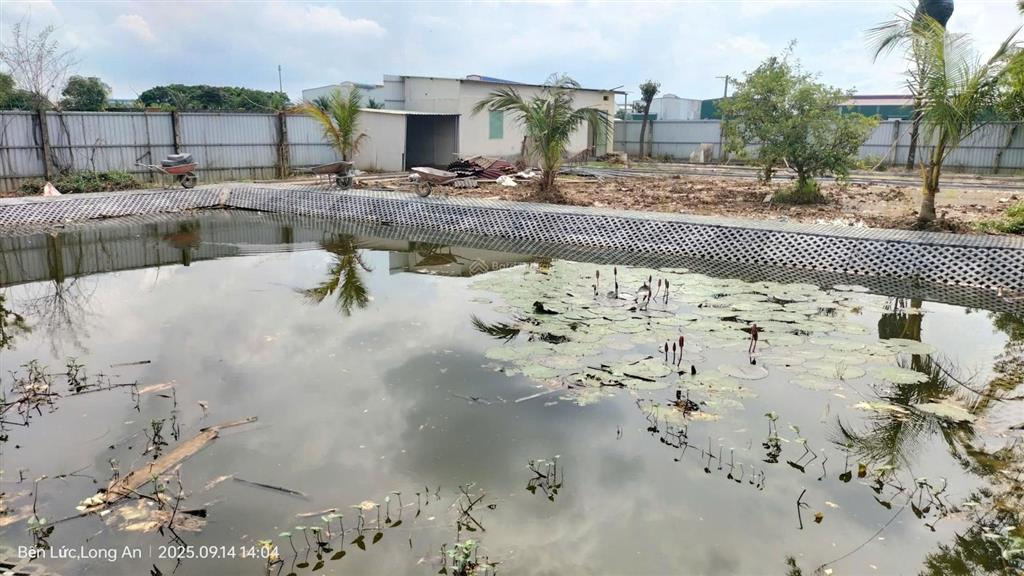 Chủ bán nhà vườn + đất làm xưởng, dt 2670m2 có 850m2 thổ cư, thuộc mỹ yên bến lức long an