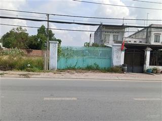 Bán đất mặt tiền đường dương đình cúc tân kiên bình chánh, dt 270m2 (8x38), giá 12,5 tỷ tl