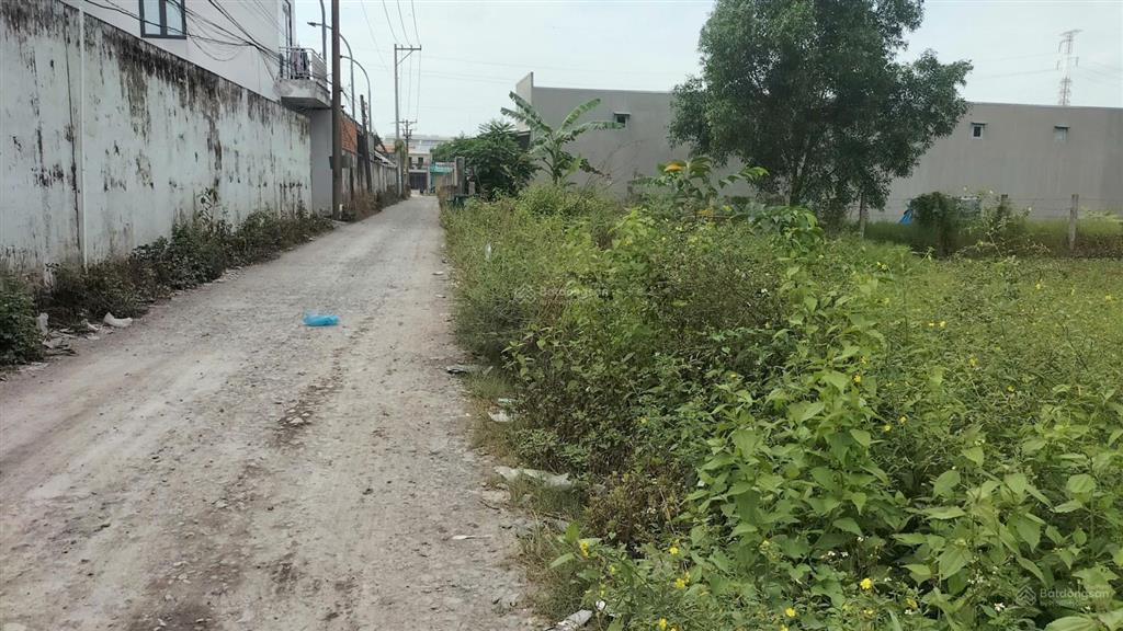 Chủ cần bán 2700m2 đất tmdv. cách nguyễn hữu trí 200m, đường xe công chạy