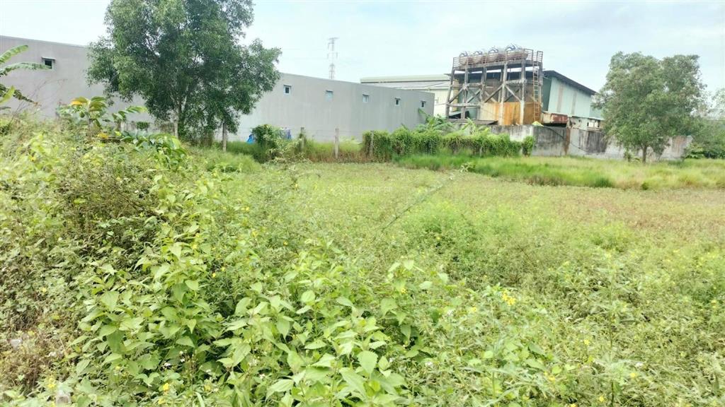 Chủ cần bán 2700m2 đất tmdv. cách nguyễn hữu trí 200m, đường xe công chạy
