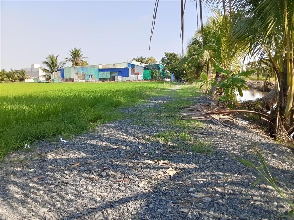 Chủ cần bán lô đất 1030m2 có 200m2 thổ cư (15 x 69), giá 2,3 tỷ/lô, đường xe tải