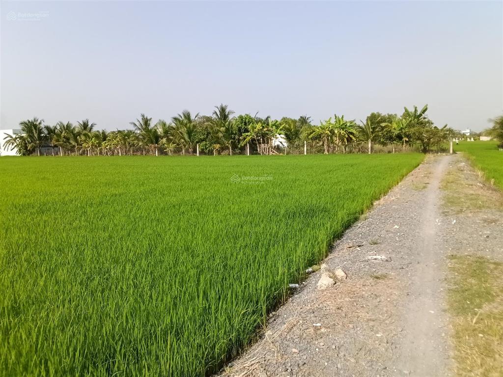 Chủ cần bán lô đất 1030m2 có 200m2 thổ cư (15 x 69), giá 2,3 tỷ/lô, đường xe tải