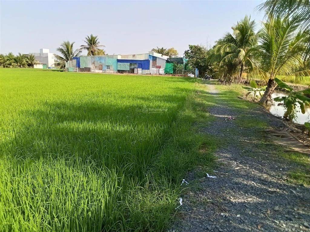 Chủ cần bán lô đất 1030m2 có 200m2 thổ cư (15 x 69), giá 2,3 tỷ/lô, đường xe tải