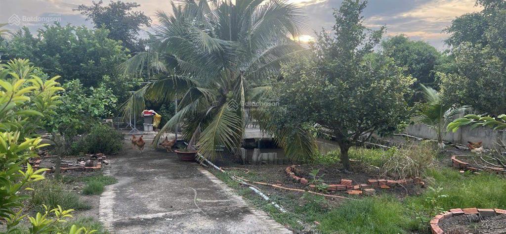 Bán nhà vườn 1500m2 (40x40), trên đất có nhà, có vườn trái cây, có ao cá, giá 3,9 tỷ tl