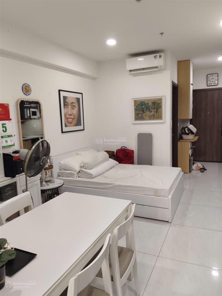 Cho thuê căn hộ vừa ở vừa làm văn phòng tại sunrise riverside, 33m2, 1pn, 1wc  giá 9tr/ tháng